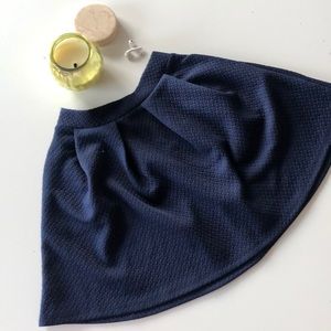 Navy Blue Spring Skirt
